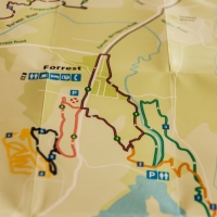 elisebufton_forrestmountainbikes-0215