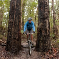 elisebufton_forrestmountainbikes-0323
