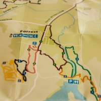 elisebufton_forrestmountainbikes-0215