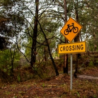 elisebufton_forrestmountainbikes-0283