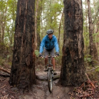 elisebufton_forrestmountainbikes-0323