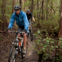 elisebufton_forrestmountainbikes-0331