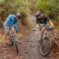 elisebufton_forrestmountainbikes-0417