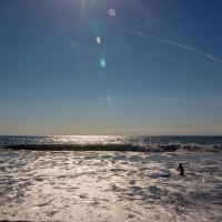 elisebufton_marincounty-0257