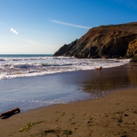 elisebufton_marincounty-0320